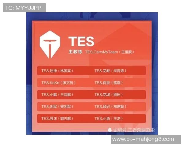 王者荣耀WE战队配合策略解析与实战经验分享